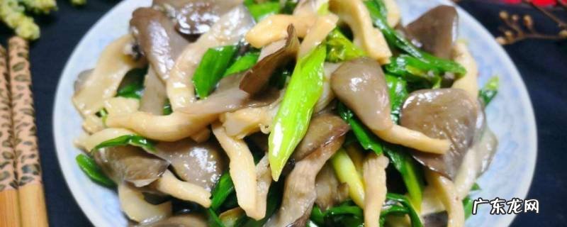 蘑菇怎么炒好吃又简单的做法 蘑菇怎么样炒才好吃