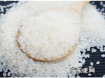 籼米和糯米有什么区别,籼米粳米糯米香米珍珠米有什么区别