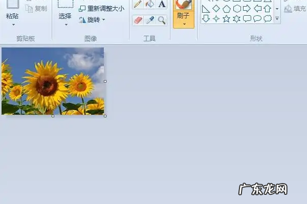 照片大小怎么改到20k,怎么压缩大小到20k
