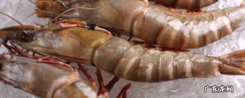 冻虾怎么吃 冻虾怎么吃黑