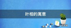 叶公的寓意 叶相的寓意