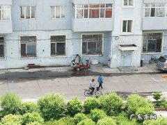 锦屏藤怎么样过冬,锦屏藤适合家庭种植