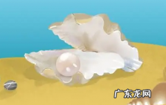 珍珠质是什么分泌出来的,珍珠是怎么形成的