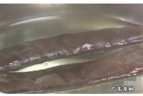 瑶族淘米水发酵如何做洗发水,发酵淘米水洗头的正确方法