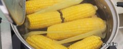 玉米怎样煮又嫩又好吃又简单 玉米怎么煮才好吃又嫩又好吃