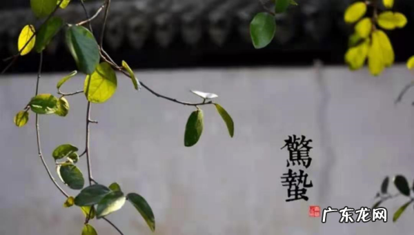 惊蛰到来后会有什么变化,惊蛰来到后还会发生什么变化