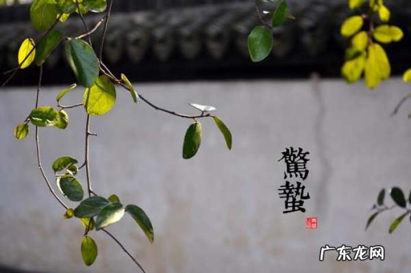 惊蛰到来后会有什么变化,惊蛰来到后还会发生什么变化