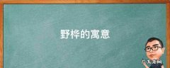 桦名字的寓意是什么 野桦的寓意
