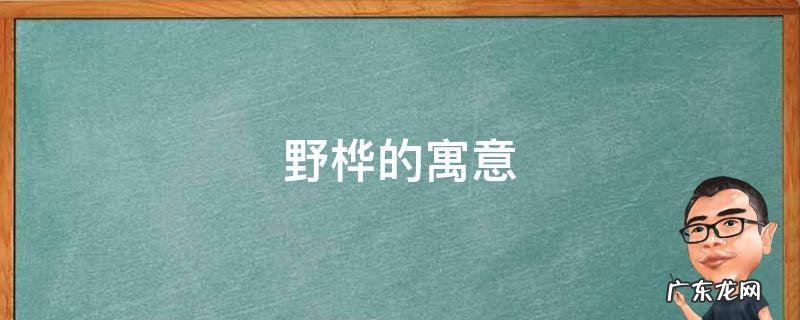 桦名字的寓意是什么 野桦的寓意