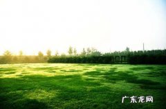 草地在环境保护中具有什么的重要作用,草地在环保中具有的重要作用是什么