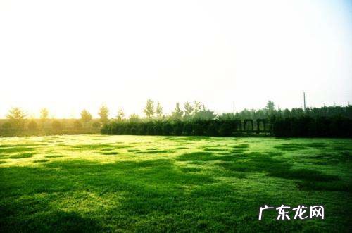 草地在环境保护中具有什么的重要作用,草地在环保中具有的重要作用是什么