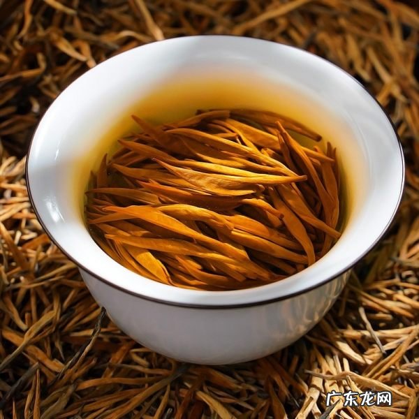 古树金针属什么茶,金针茶叶是什么茶能养胃