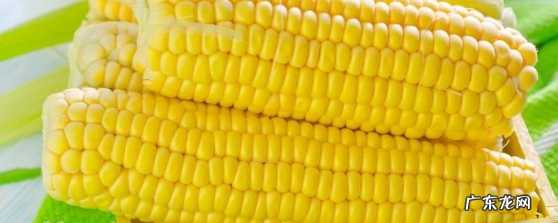 玉米怎么吃 玉米怎么吃容易消化