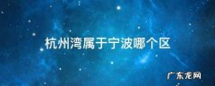 杭州湾新区属于宁波哪个区,杭州湾新区人口2022总人数口