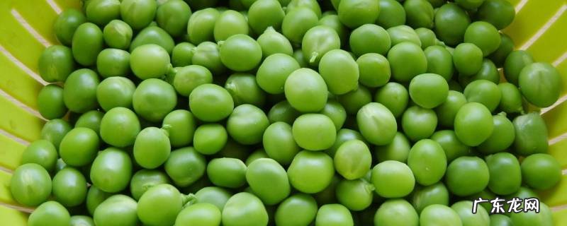 干豌豆怎么吃 干豌豆怎么吃?