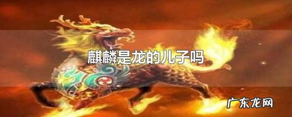 麒麟与龙什么关系,麒麟是龙的第几个儿子