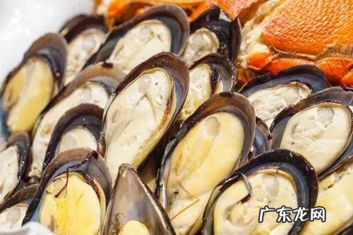 海螺的黄可以吃,海螺后面的黄能吃