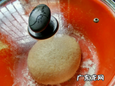 酵母和面粉怎么用,和面放酵母少了面不开怎么办