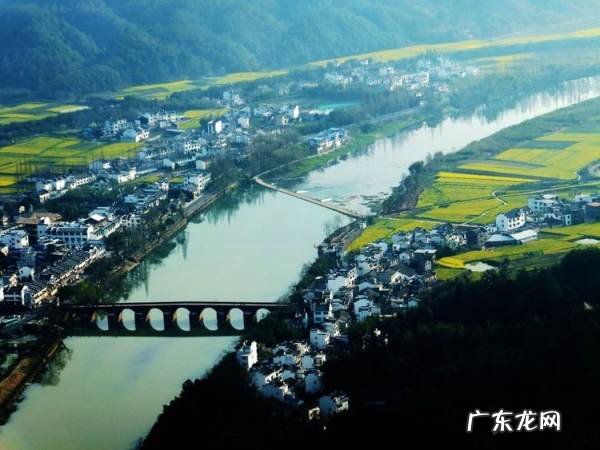 中国森林覆盖率最高的城市是,森林覆盖率最高的五个国家
