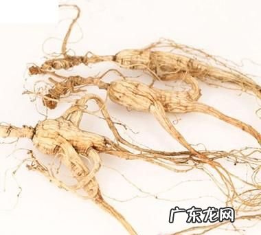 野山参怎么保存,野山参的保存方法有哪些