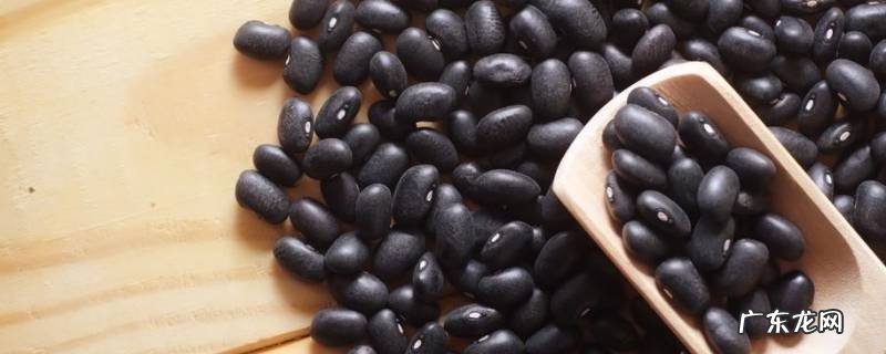 黑豆怎么做好吃 黑豆怎么做好吃又有营养