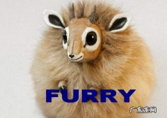 这素什么动物好furry,furry是什么