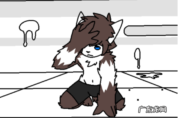 这素什么动物好furry,furry是什么