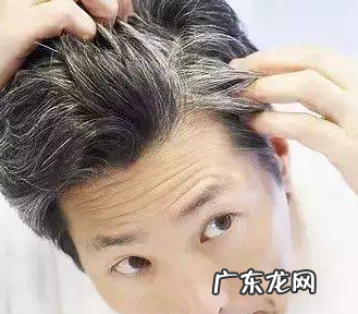 遮盖白发最好看的颜色,白头发比较多吃些什么可以改善