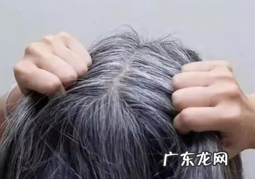 遮盖白发最好看的颜色,白头发比较多吃些什么可以改善