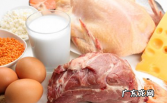 什么食品是高蛋白,高蛋白质的食物有哪些