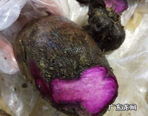 新鲜的大薯怎么吃,大薯的吃法与做法能抄着吃