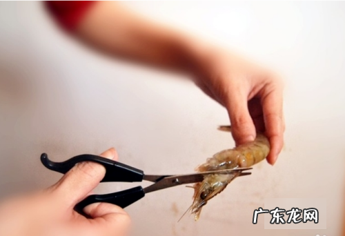 鲜虾应该怎么办,鲜虾怎么收拾又快又干净