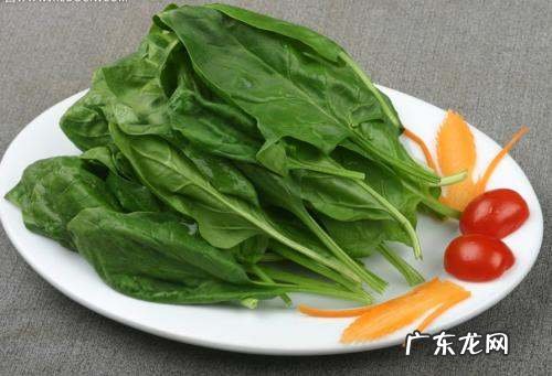 菠菜怎么处理不涩,制作蚝油的主要原料是什么