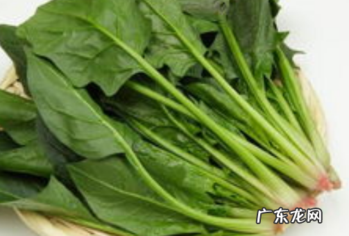 菠菜怎么处理不涩,制作蚝油的主要原料是什么