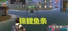 明日之后如何钓鱼,明日之后全部鱼类位置一览最新
