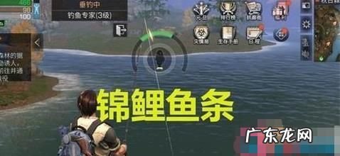 明日之后如何钓鱼,明日之后全部鱼类位置一览最新