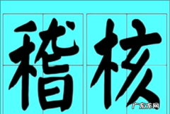 稽核检查是什么意思,稽核是什么意思