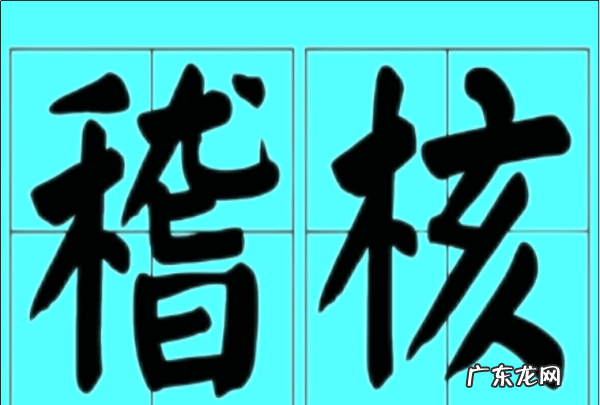 稽核检查是什么意思,稽核是什么意思
