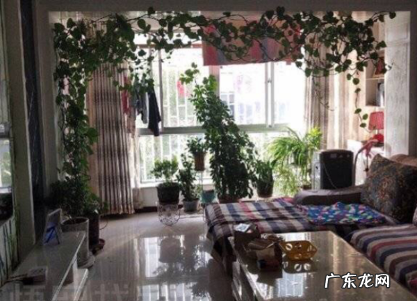 什么是顶账房开发商自签房,什么是顶账房
