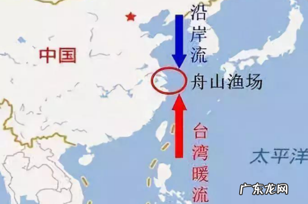 中国的舟山渔场建在什么流,中国的舟山渔场建在什么流显著的海域