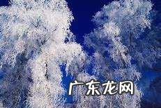 关于各种天气的资料,极端天气现象有哪些