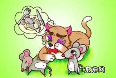 猫哭耗子歇后语,耗子吃猫扎的歇后语是什么