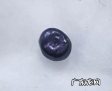 眼镜蛇头上的黑石头是什么,眼镜蛇头皮里黑色的宝石一样的是什么