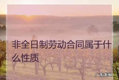 非标准劳动关系的是什么意思,我国劳动用工关系主要分为什么关系两种