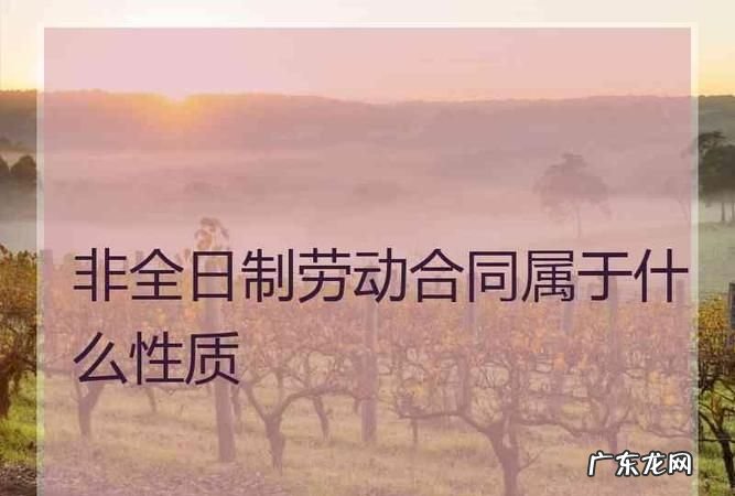非标准劳动关系的是什么意思,我国劳动用工关系主要分为什么关系两种