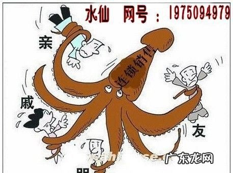 非标准劳动关系的是什么意思,我国劳动用工关系主要分为什么关系两种