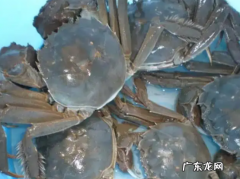 活的螃蟹可以冷冻,活螃蟹可以直接冷冻保存