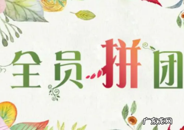 qi拼团是什么,拼团是什么意思