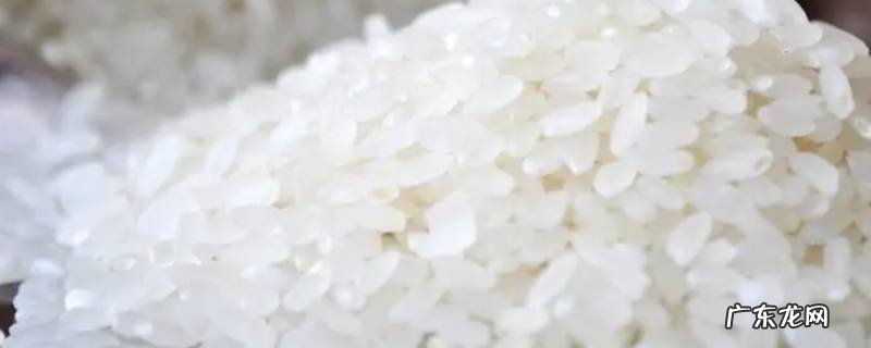 米是怎么来的过程 米是怎么来的过程视频