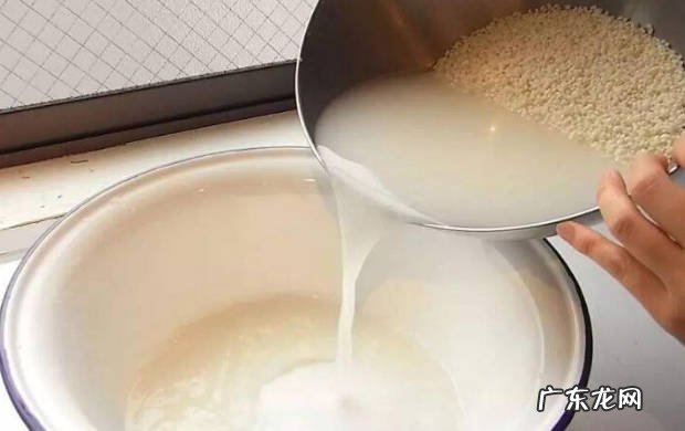 橘子皮 什么东西可以当作肥料浇花